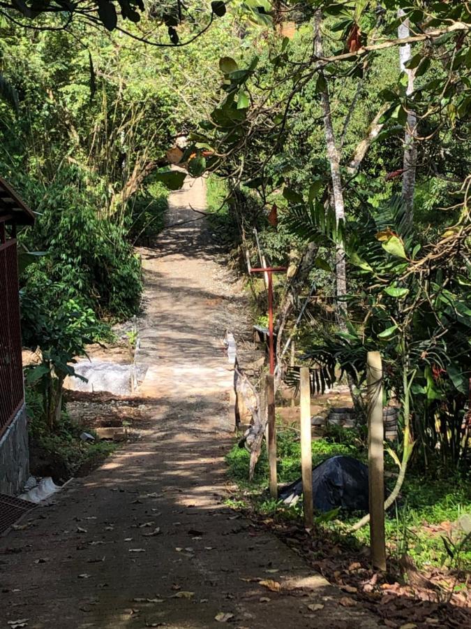 Casa Encantada Offers You Two-Bedroom House, 1 Tiny Apartment & 3 Double Rooms Manuel Antonio Dış mekan fotoğraf